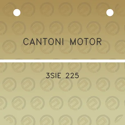 cantoni-motor-3sie-225