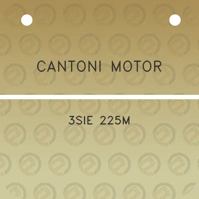 cantoni-motor-3sie-225m