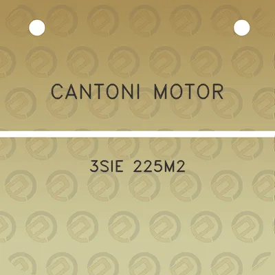 cantoni-motor-3sie-225m2