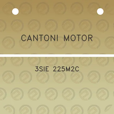 cantoni-motor-3sie-225m2c