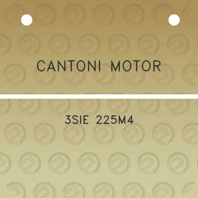 cantoni-motor-3sie-225m4