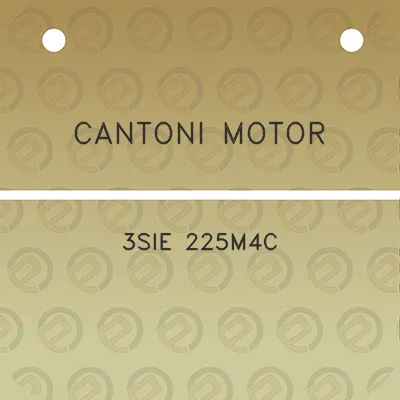 cantoni-motor-3sie-225m4c