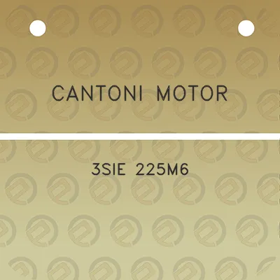 cantoni-motor-3sie-225m6