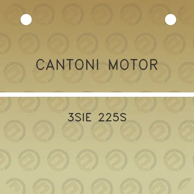 cantoni-motor-3sie-225s