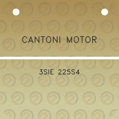 cantoni-motor-3sie-225s4