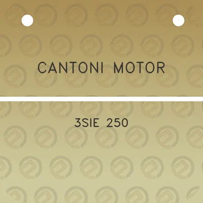 cantoni-motor-3sie-250