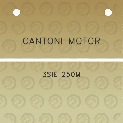 cantoni-motor-3sie-250m