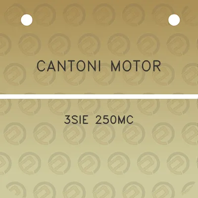 cantoni-motor-3sie-250mc