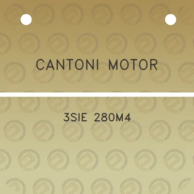 cantoni-motor-3sie-280m4