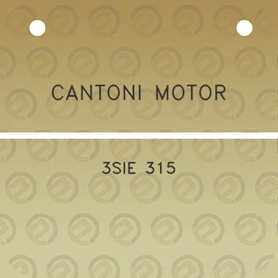 cantoni-motor-3sie-315