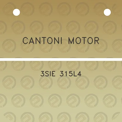 cantoni-motor-3sie-315l4