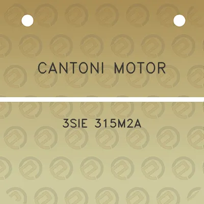 cantoni-motor-3sie-315m2a