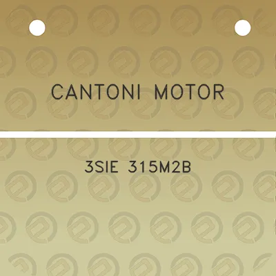 cantoni-motor-3sie-315m2b