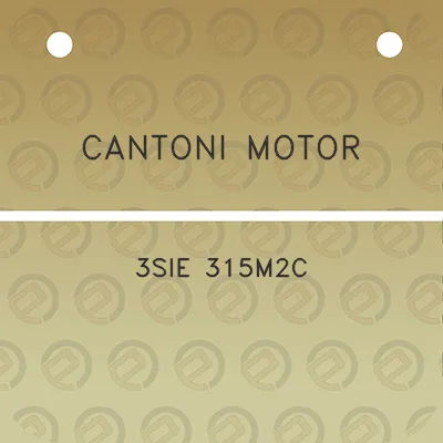 cantoni-motor-3sie-315m2c