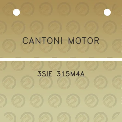 cantoni-motor-3sie-315m4a