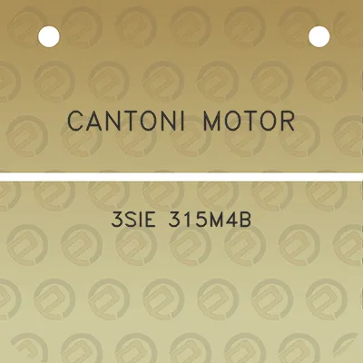 cantoni-motor-3sie-315m4b