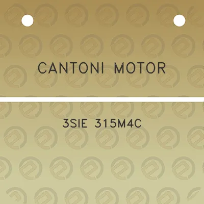 cantoni-motor-3sie-315m4c