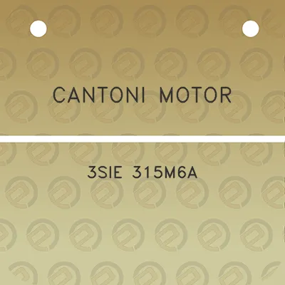 cantoni-motor-3sie-315m6a