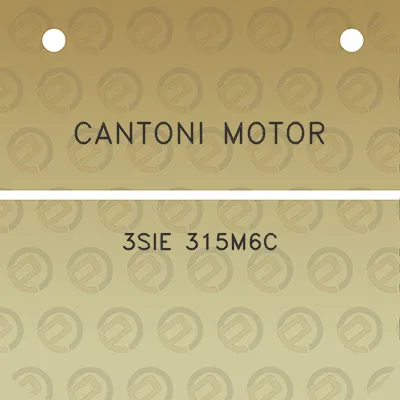 cantoni-motor-3sie-315m6c