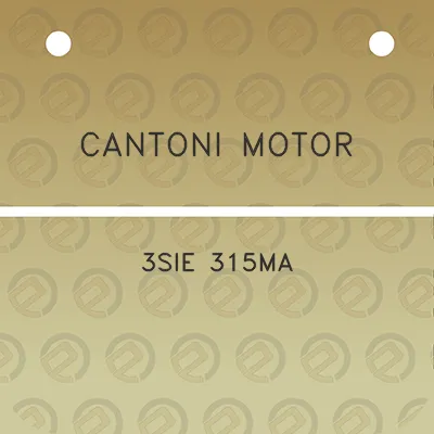 cantoni-motor-3sie-315ma