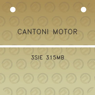 cantoni-motor-3sie-315mb