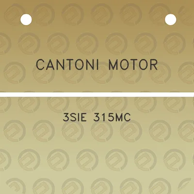 cantoni-motor-3sie-315mc