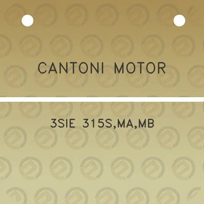 cantoni-motor-3sie-315smamb