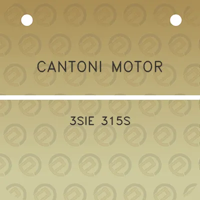 cantoni-motor-3sie-315s