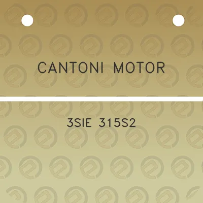 cantoni-motor-3sie-315s2