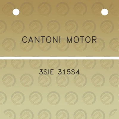 cantoni-motor-3sie-315s4