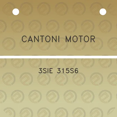 cantoni-motor-3sie-315s6