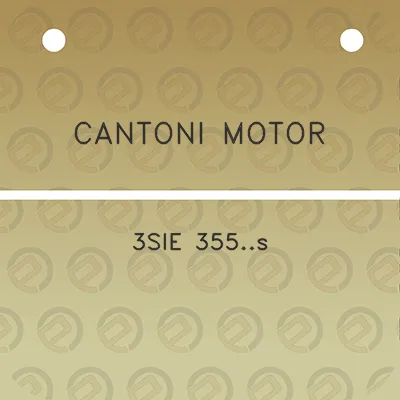 cantoni-motor-3sie-355s