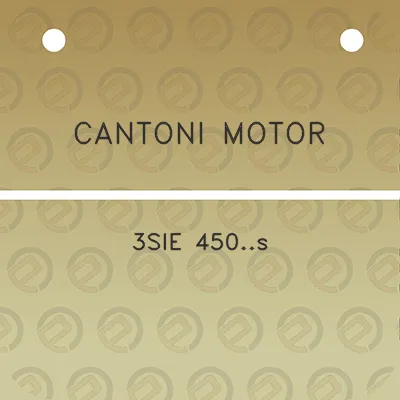 cantoni-motor-3sie-450s