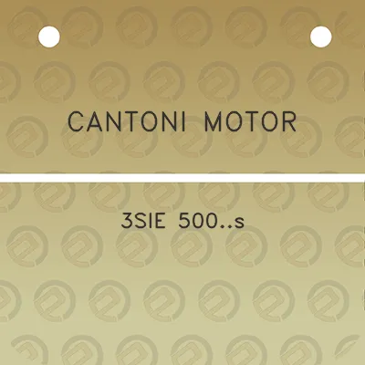 cantoni-motor-3sie-500s