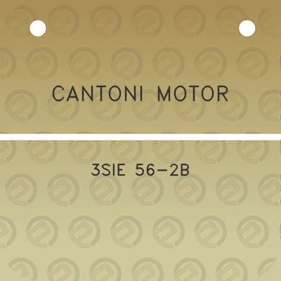 cantoni-motor-3sie-56-2b