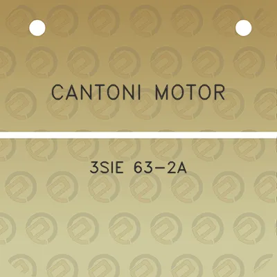 cantoni-motor-3sie-63-2a