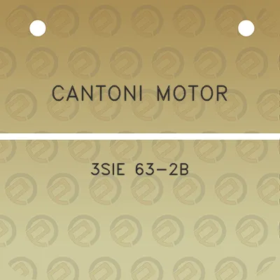 cantoni-motor-3sie-63-2b