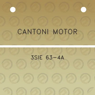 cantoni-motor-3sie-63-4a