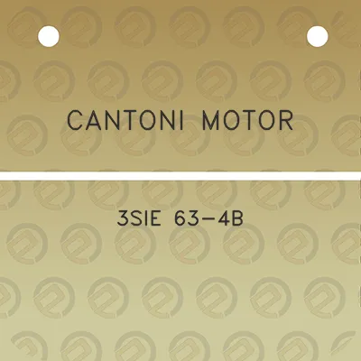 cantoni-motor-3sie-63-4b