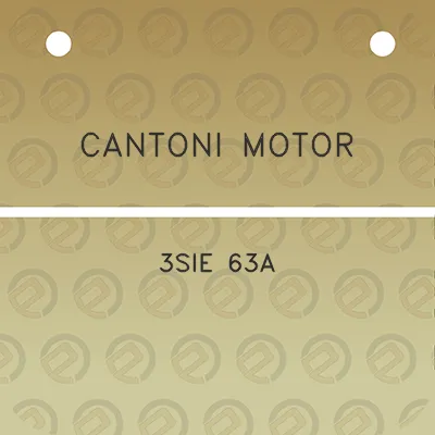 cantoni-motor-3sie-63a