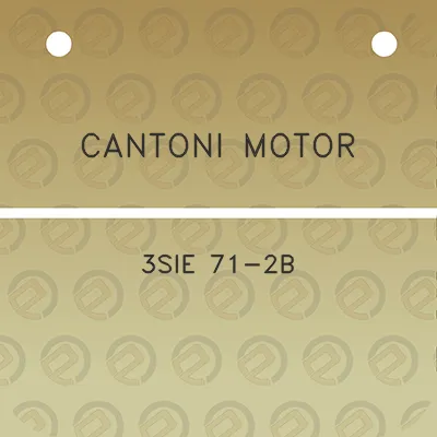 cantoni-motor-3sie-71-2b