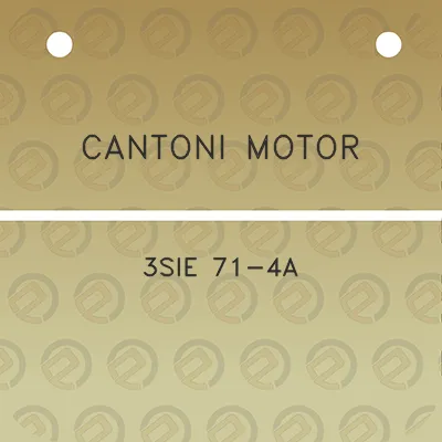 cantoni-motor-3sie-71-4a