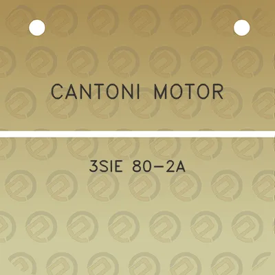 cantoni-motor-3sie-80-2a