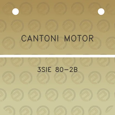 cantoni-motor-3sie-80-2b