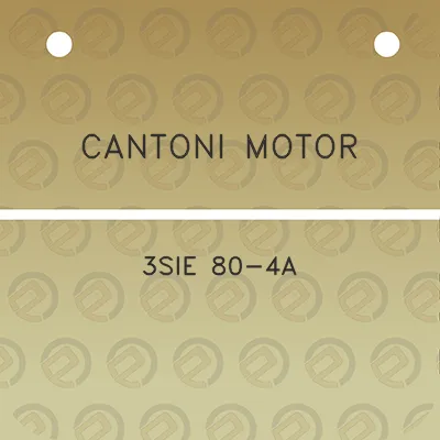 cantoni-motor-3sie-80-4a