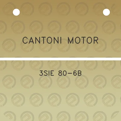 cantoni-motor-3sie-80-6b