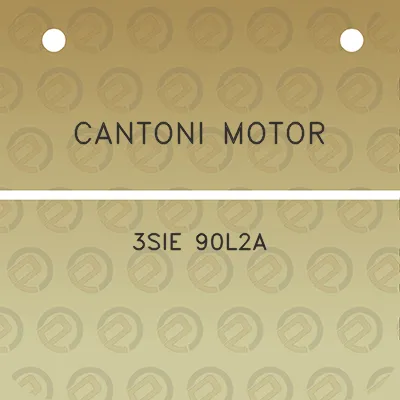 cantoni-motor-3sie-90l2a