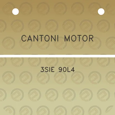 cantoni-motor-3sie-90l4