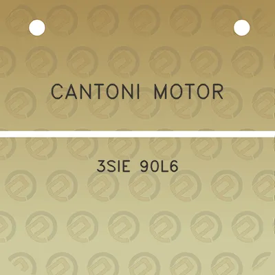 cantoni-motor-3sie-90l6