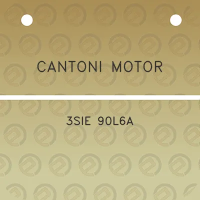 cantoni-motor-3sie-90l6a